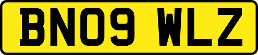 BN09WLZ