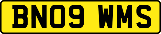 BN09WMS
