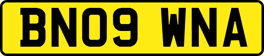 BN09WNA