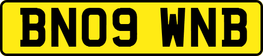 BN09WNB