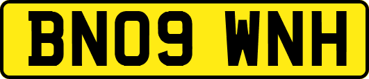 BN09WNH