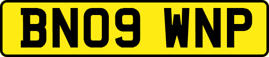 BN09WNP