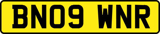 BN09WNR