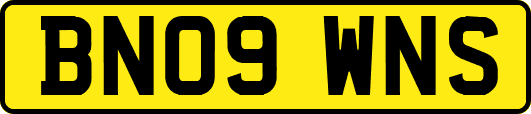 BN09WNS