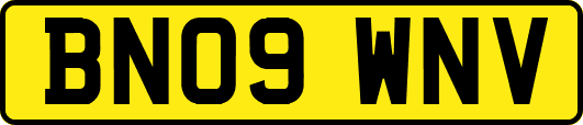 BN09WNV