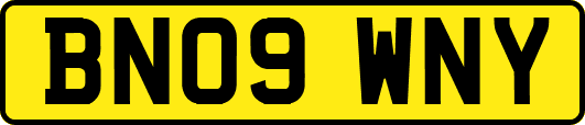 BN09WNY
