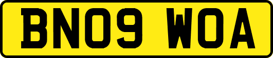 BN09WOA