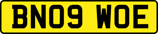 BN09WOE