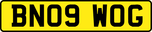 BN09WOG