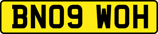 BN09WOH