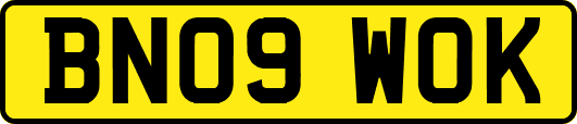 BN09WOK