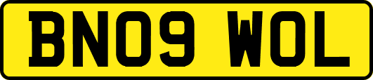 BN09WOL