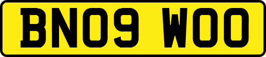 BN09WOO