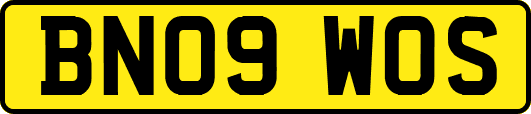 BN09WOS