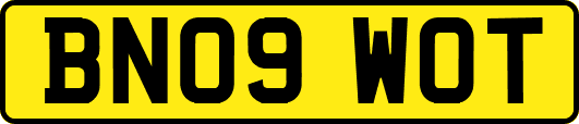BN09WOT