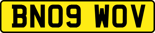 BN09WOV