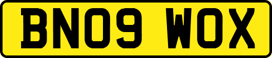 BN09WOX
