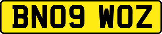 BN09WOZ