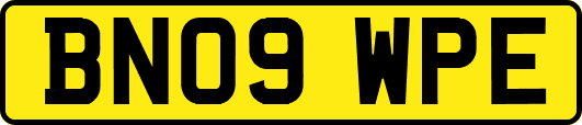 BN09WPE