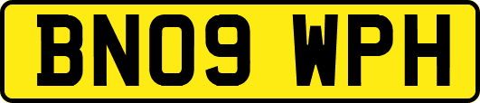 BN09WPH