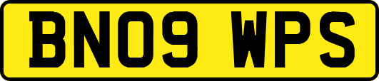 BN09WPS