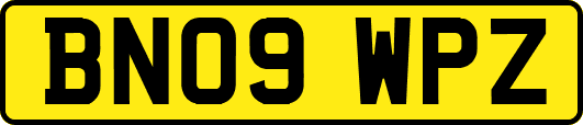 BN09WPZ