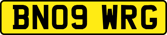 BN09WRG