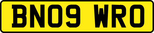 BN09WRO