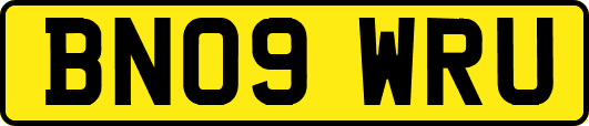 BN09WRU
