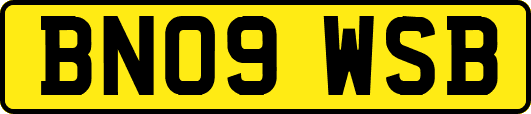 BN09WSB