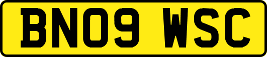BN09WSC