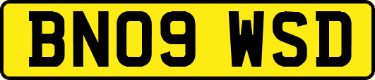 BN09WSD