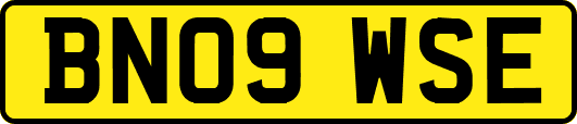 BN09WSE