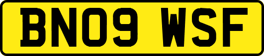 BN09WSF