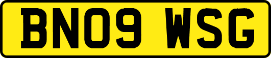 BN09WSG