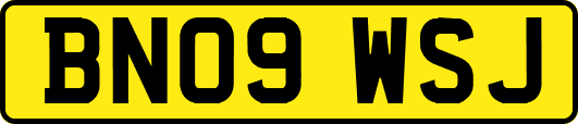BN09WSJ