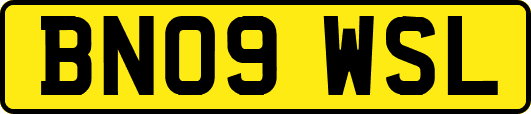 BN09WSL