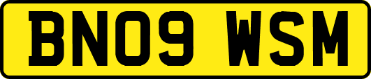 BN09WSM
