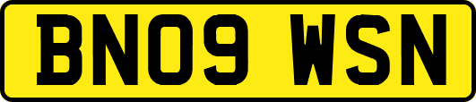 BN09WSN