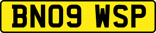 BN09WSP