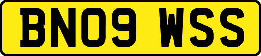 BN09WSS