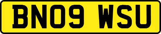 BN09WSU