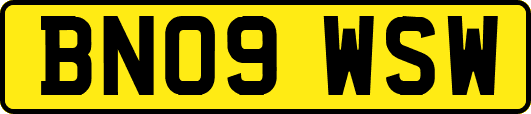 BN09WSW