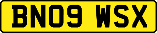 BN09WSX