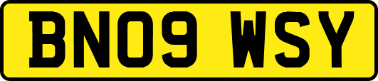 BN09WSY