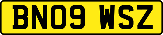 BN09WSZ