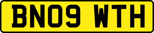 BN09WTH