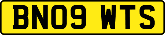 BN09WTS
