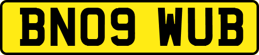 BN09WUB