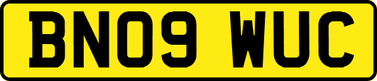 BN09WUC